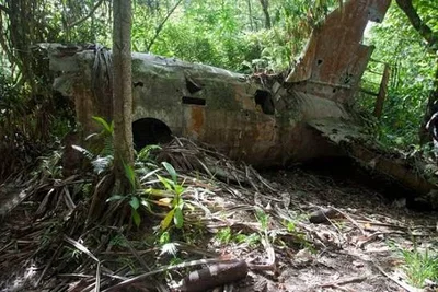 Plane Crash - Rain Forest RPG