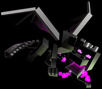The Ender Dragon 