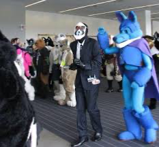 You did a Spy TF2 and snuck into a furry convention trying to find The Big and will be Bad wolf with little red