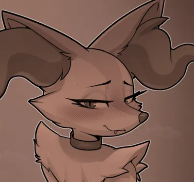 Braixen