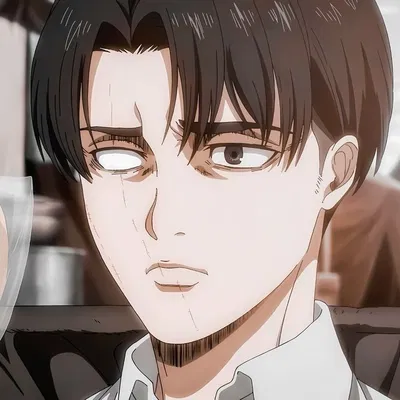 Levi Ackerman | After Rumbling 