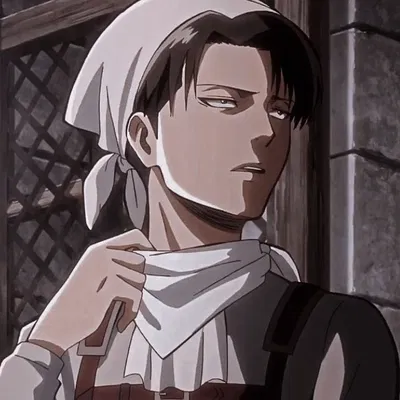 Levi Ackerman 