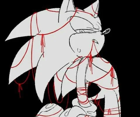 Sonic the hedgehog