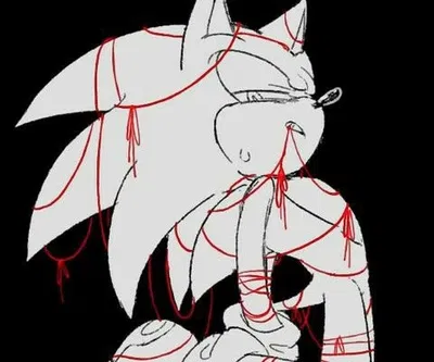 Sonic the hedgehog