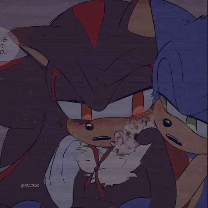 Shadow the Hedgehog