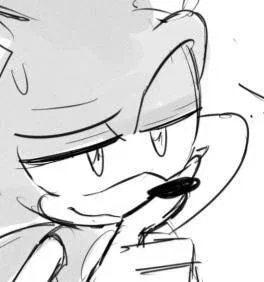 Sonic the hedgehog 