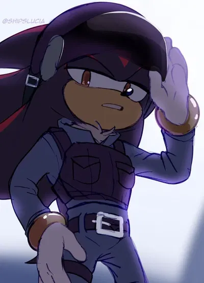 Shadow the Hedgehog||Police