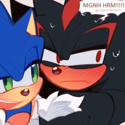Shadow the Hedgehog||Stalker