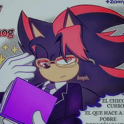 Shadow the Hedgehog||School