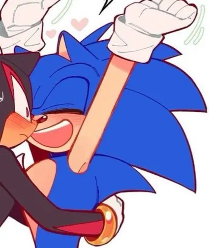 Sonic the hedgehog 