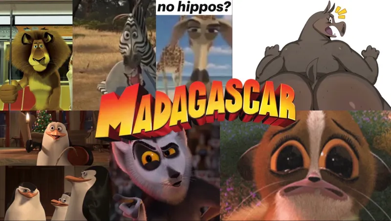 Madagascar | The Ultimate RPG