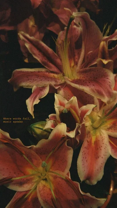 Mark Haze |farm boy|