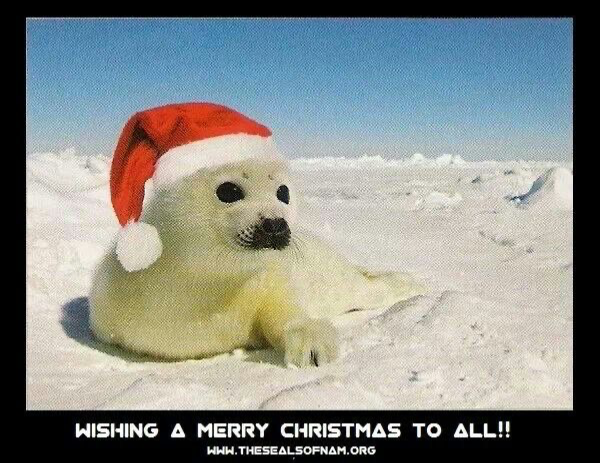 COMING BACK FOR CHRISTMAS