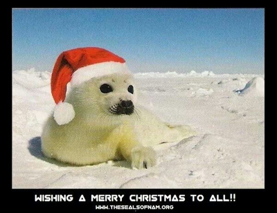 COMING BACK FOR CHRISTMAS