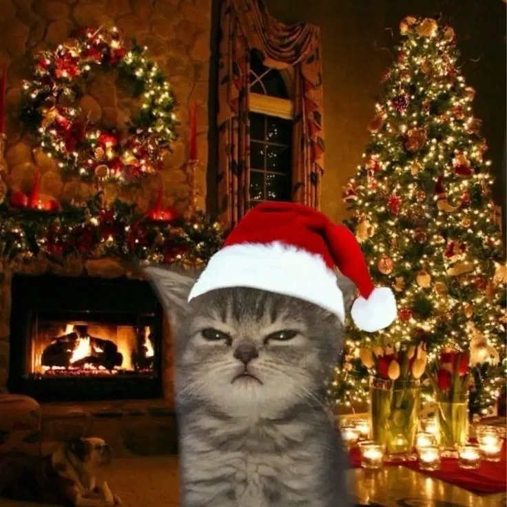 IT'S ALMOST CHRISTMASSS (And some news)