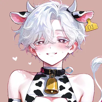 Bovine | Cow-boy 