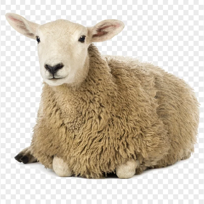 AveryTheMayo