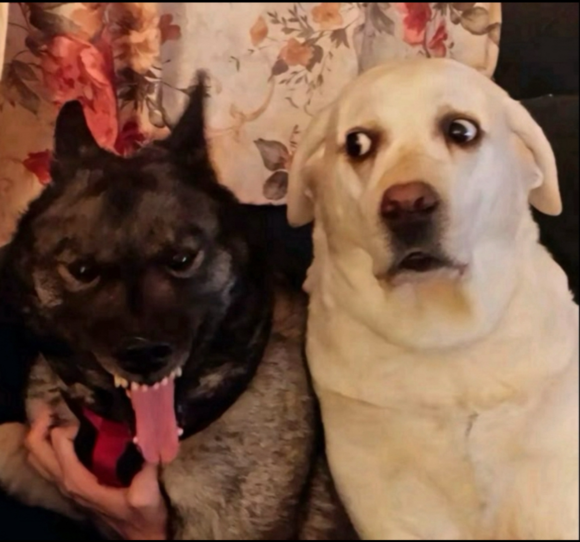 hey gang