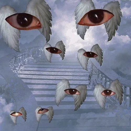 The Skybox Neverland