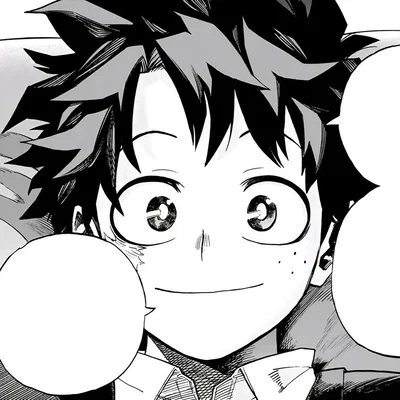 IZUKU MIDORIYA | “DEKU”
