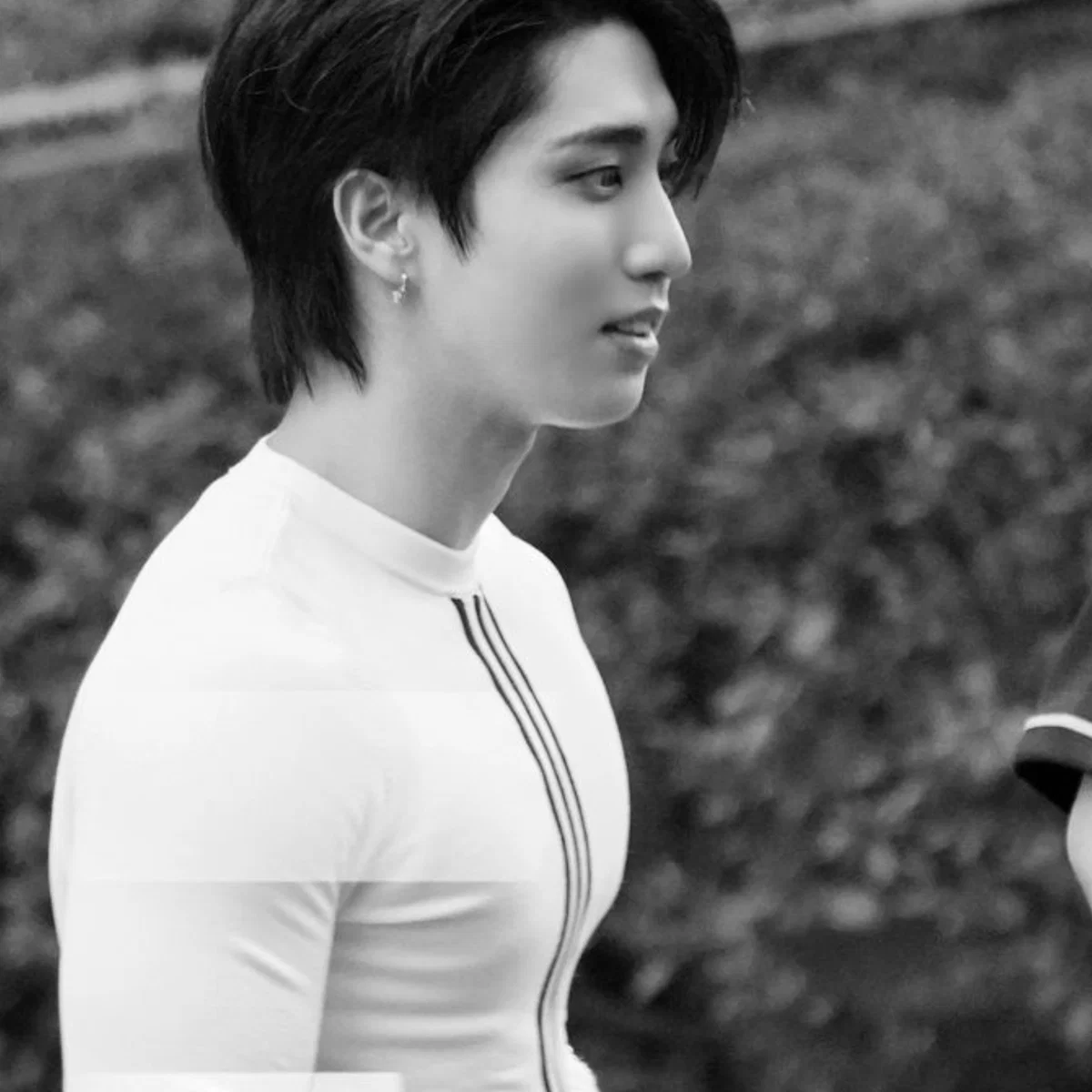 Han Jisung 𓈒 ݂۫ ୨୧