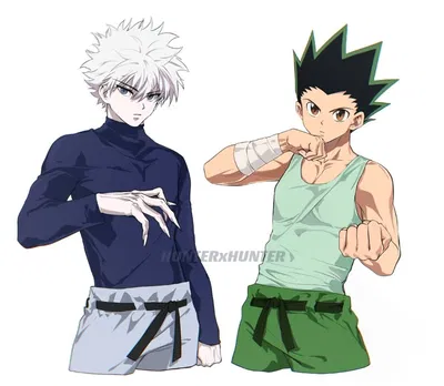 Killua Zoldyck and Gon Freecss