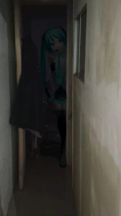 You broke into Hatsune Miku's house.