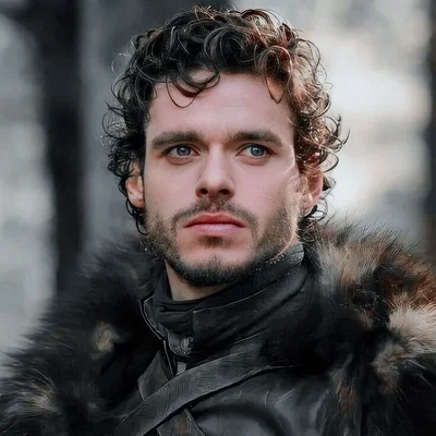 Robb stark | future lord stark