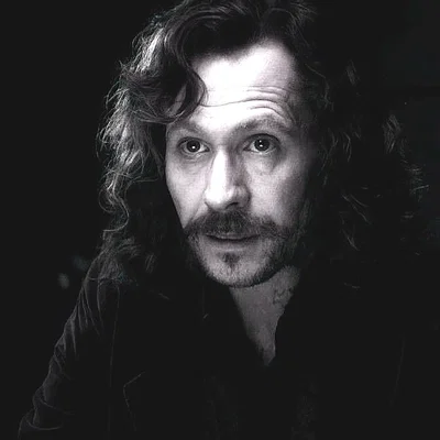 Sirius Orion Black 