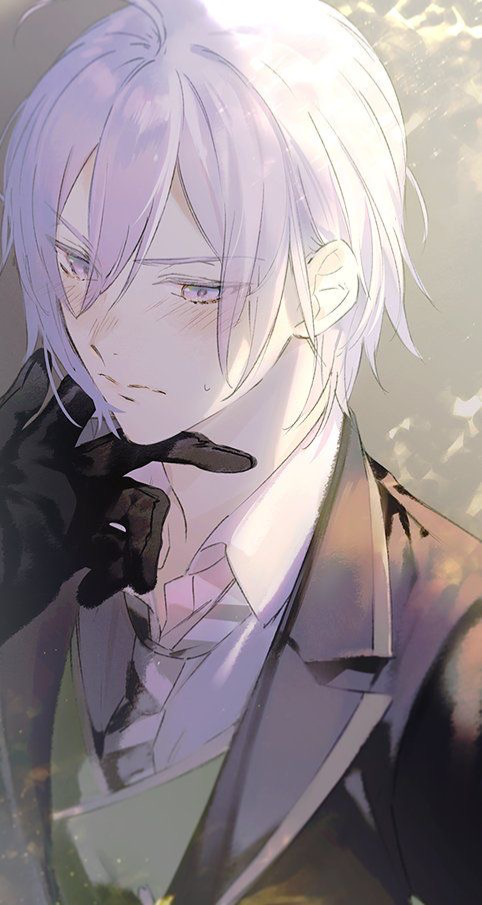Silver Vanrouge