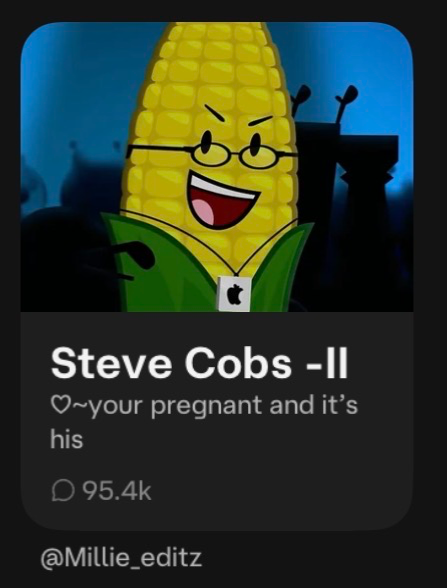 𐔌՞⁔ෆ ̫ ෆ⁔՞𐦯 Steve cobs 𓂃𓂂◌💍🌷◌˳𓇬