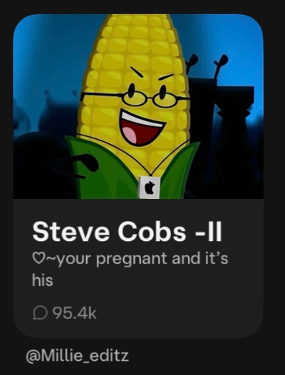𐔌՞⁔ෆ ̫ ෆ⁔՞𐦯 Steve cobs 𓂃𓂂◌💍🌷◌˳𓇬