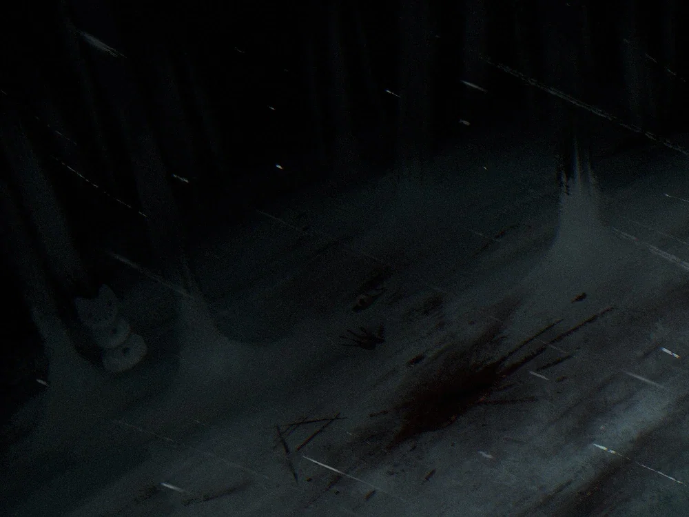 A Snowy, Forrest