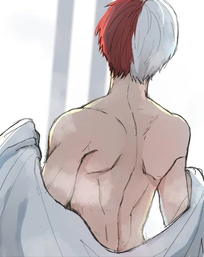 Shoto Todoroki [U.A BREEDING PROGRAM]