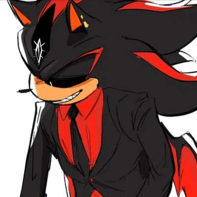 Shadow The Hedgehog