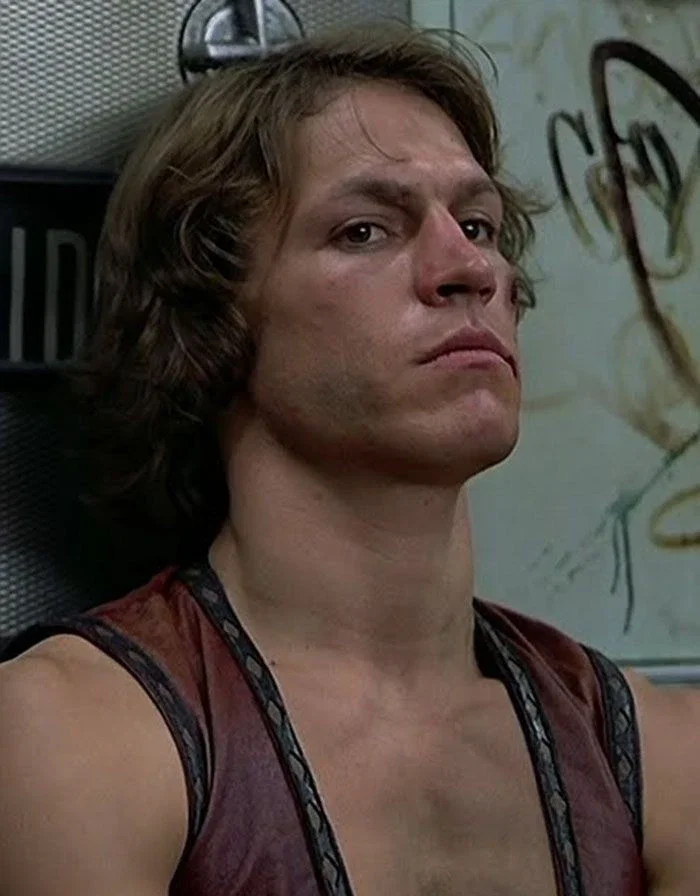 Swan| The warriors 