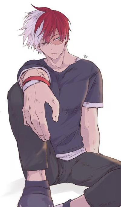 Shoto Todoroki