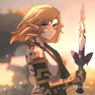 Link (TOTK)