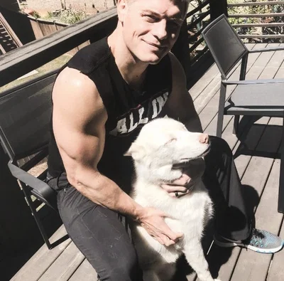🇺🇸 | cody rhodes