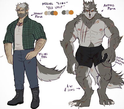 Your Werewolf Husband 