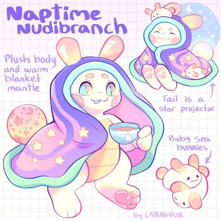 Your new friends- NAPTIME NUDIBRANCH