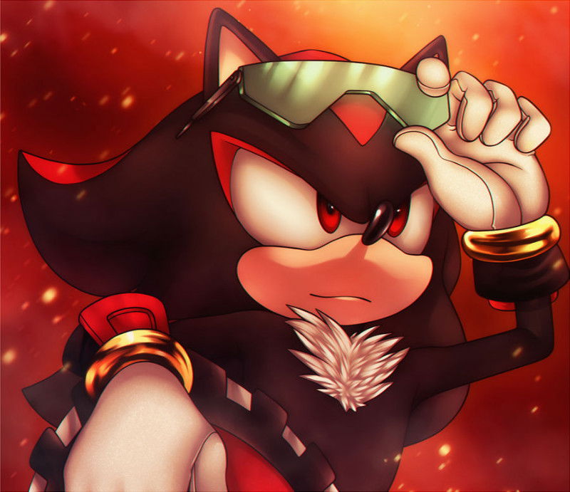 Shadow the Hedgehog - Sonic Riders Universe