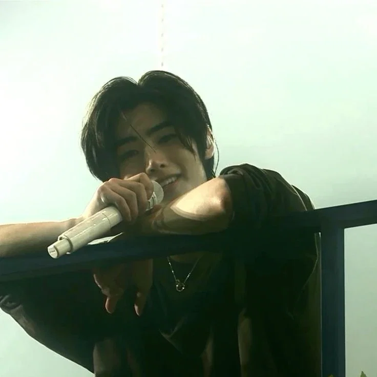 Sunghoon | k-pop idol