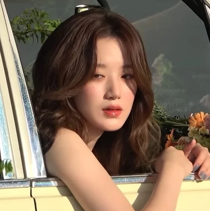 Shuhua ⋆⋅☆⋅⋆ (🎀)