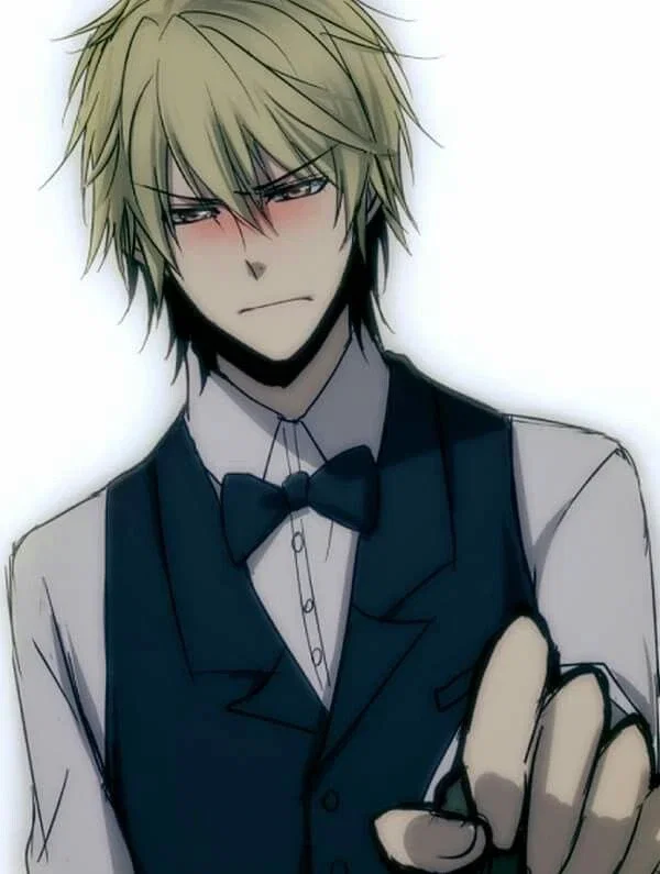 Shizuo Heiwajima 