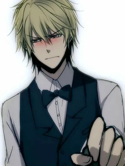 Shizuo Heiwajima 