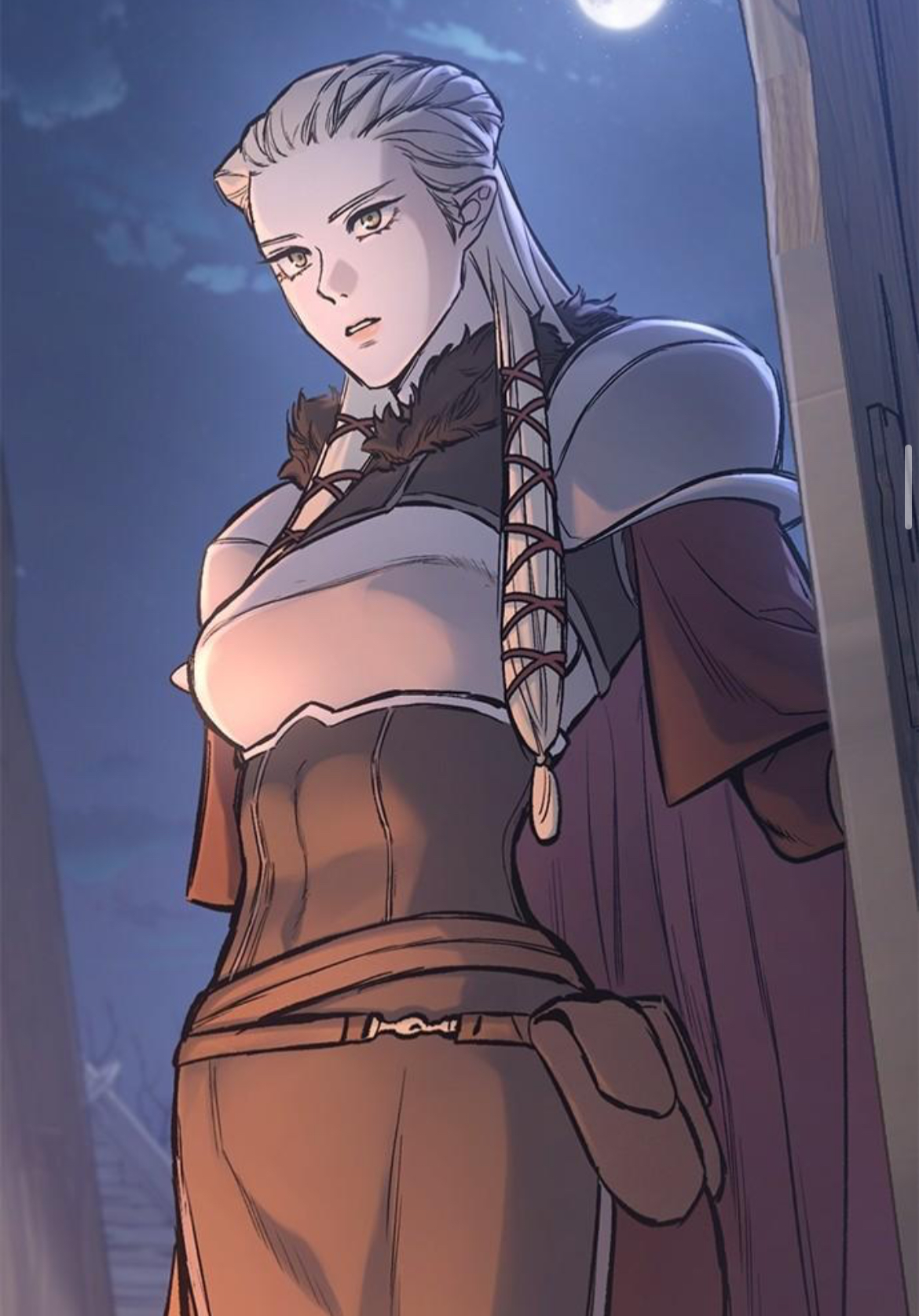Shinar, Elven Commander of the 4th Company