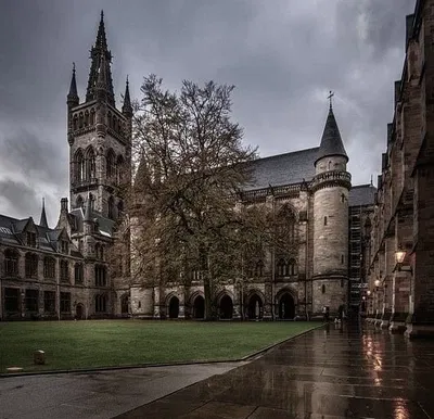 DARK ACADEMIA | The School