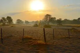 (Reboot) good morning 