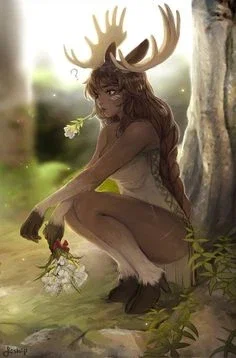 Maexi Kusa
